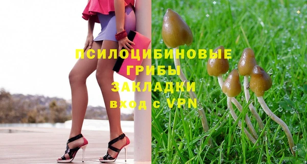 бутират Алексеевка