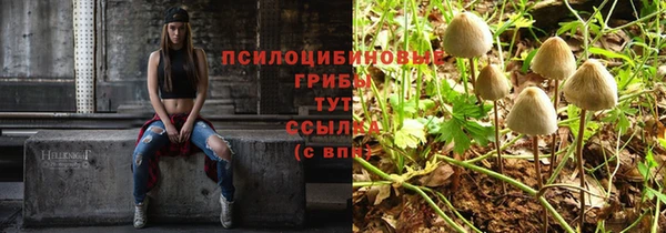 гидра Алзамай